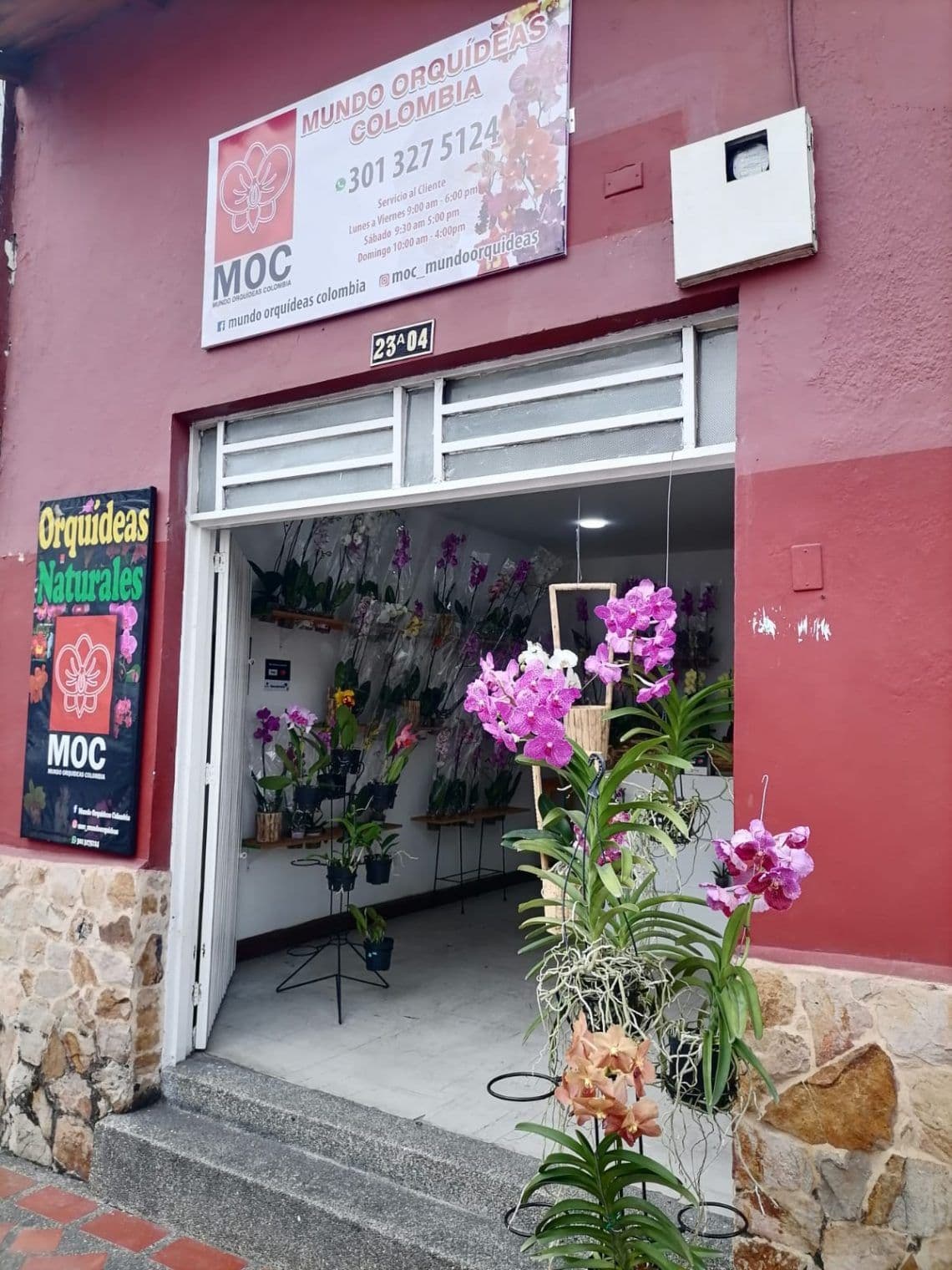Mundo Orquídeas Colombia